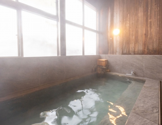 松之山温泉 Ponshu Hotel 睡夢