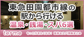 東急田園都市線（渋谷駅～中央林間駅）の駅から行ける温泉・銭湯・スパ6選！！