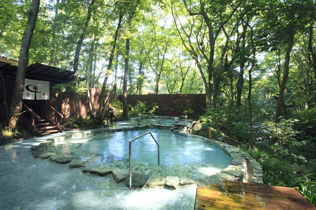 足柄の森の温泉 おんりーゆー(南足柄)