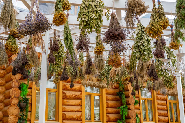 ハーブサウナとは？効果や都内近郊で体験できる施設を解説