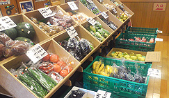 ���y�̗� �����X