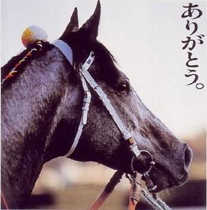 ぐまニスト ぐまニスト