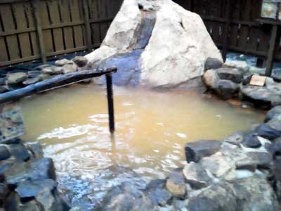 有馬温泉 太閤の湯