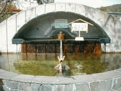 湯～モアリゾート 太山寺温泉 なでしこの湯