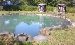 池の湯