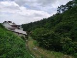 旅館の無料送迎バスで向かいます。日曜日… 旅館の無料送迎バスで向かいます。日曜日…
