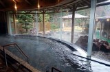 山奥の価値あるツルヌル温泉　　　　　　…