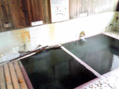 野沢温泉共同浴場 熊の手洗湯