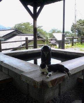 かみのやま温泉 上山城月岡公園の足湯