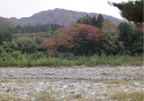 永源寺に紅葉を見に行ったのですが、