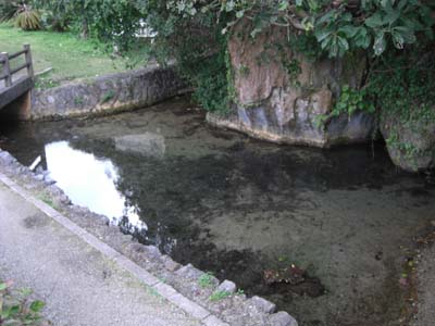 塩化物泉が湧出する神秘の川
