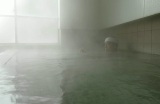 安政３年に開業した押立温泉さぎの湯旅館…