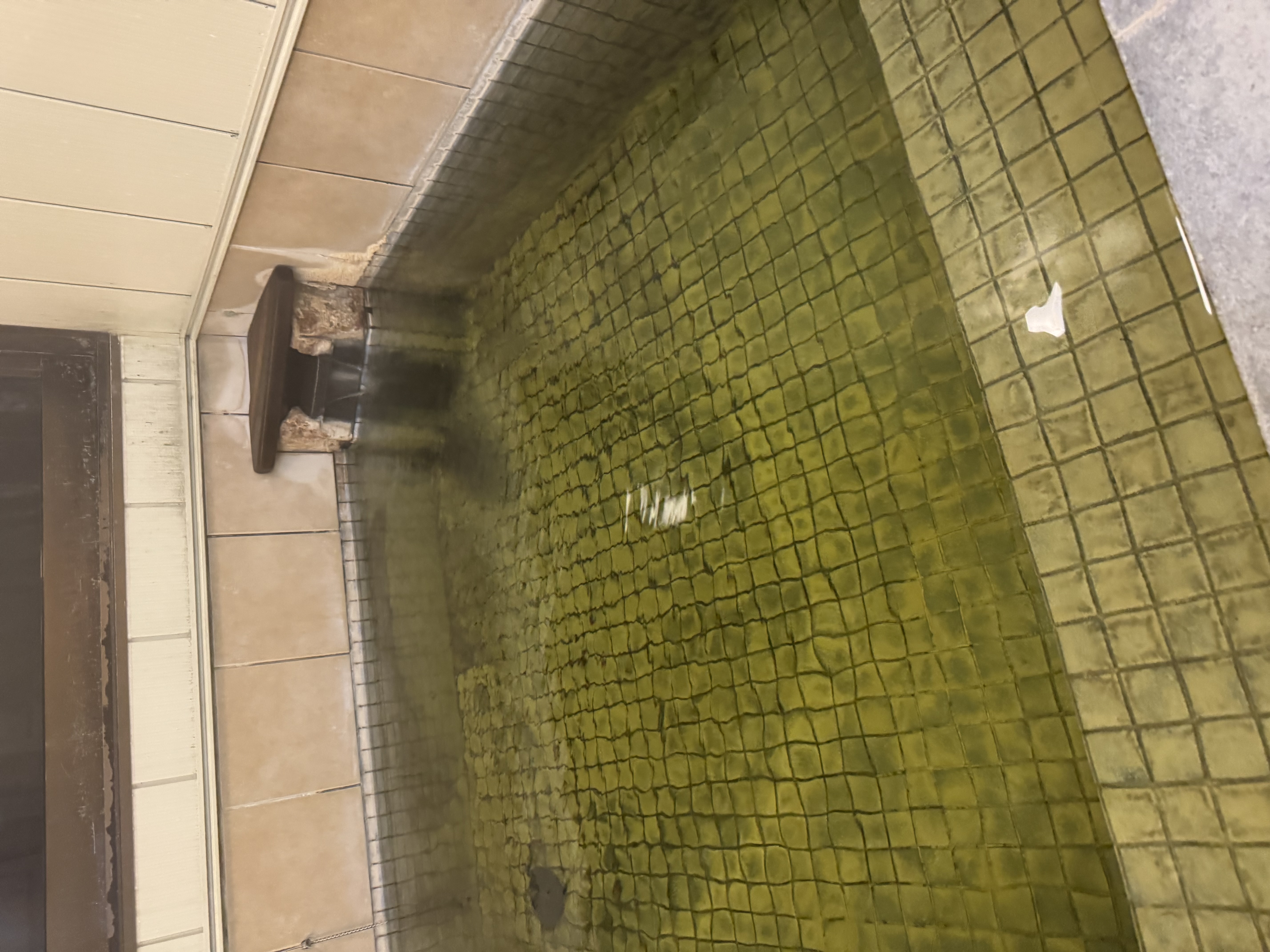 新しくリニューアルしたと聞いて訪問。…