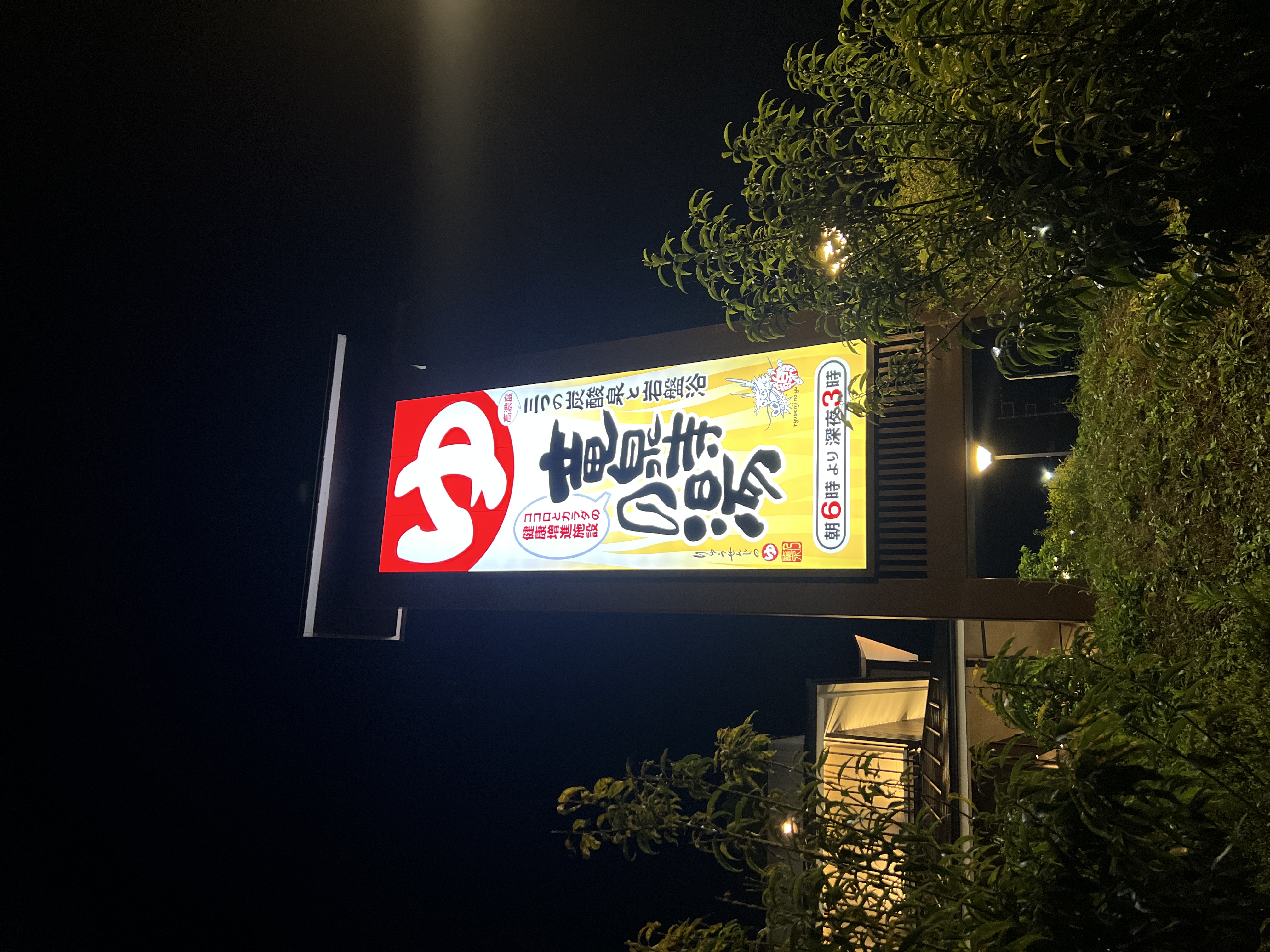 ・サウナ　5段あり30分間隔で…