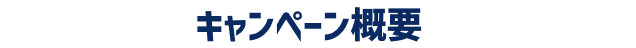 キャンペーン概要
