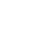 編集部おすすめラインナップ
